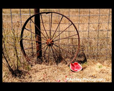 Rusted wheel with watermelon