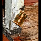 Snow Goose Hinge